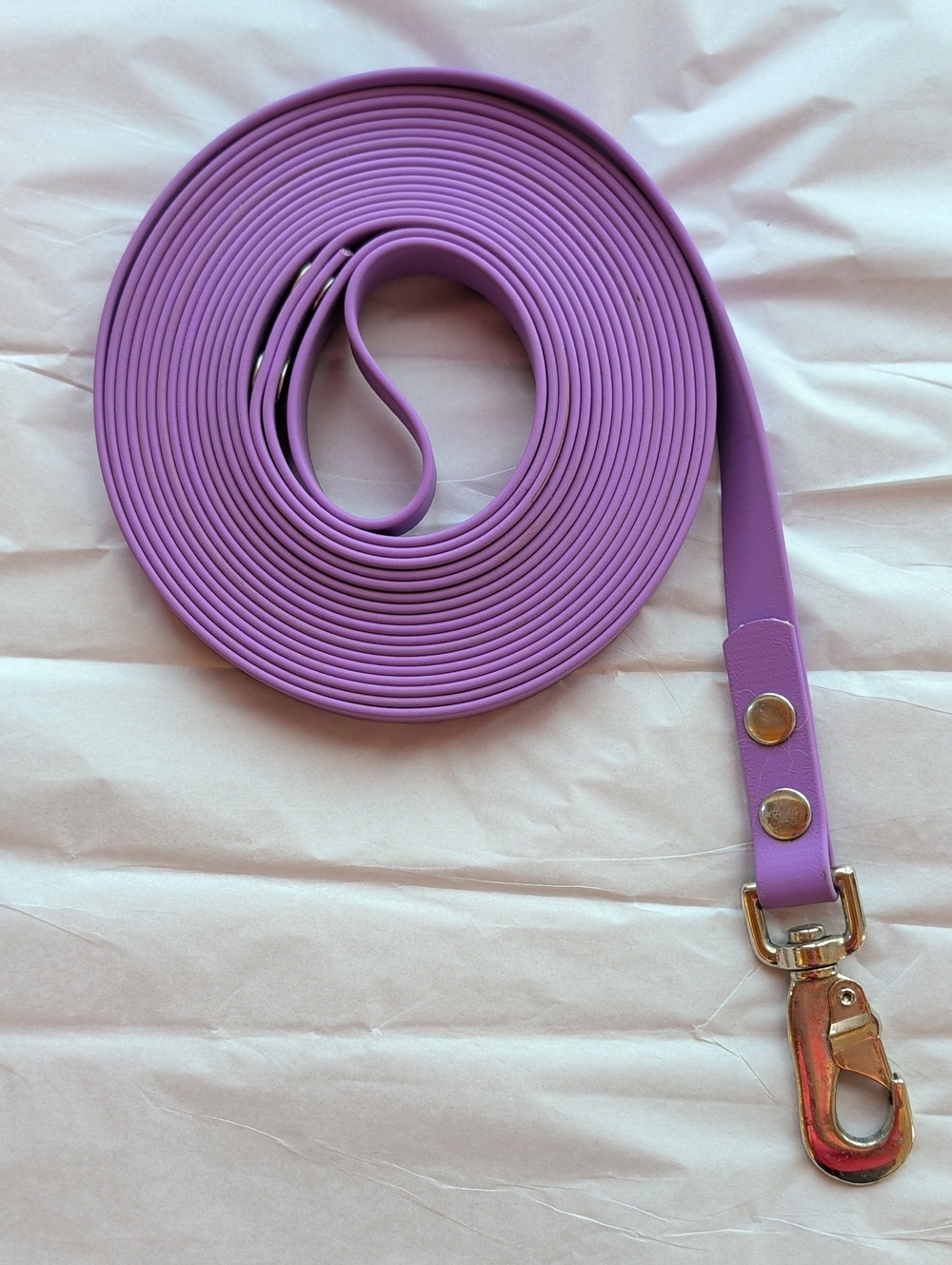 20ft Biothane long dog leash (Amethyst Orchid Purple)